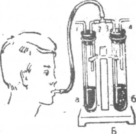 На рисунке изображен прибор для получения углекислого газа
